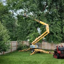 Leaf Removal in Manorhaven, NY